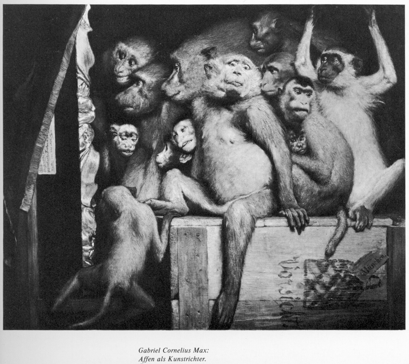 affen als kunstrichter